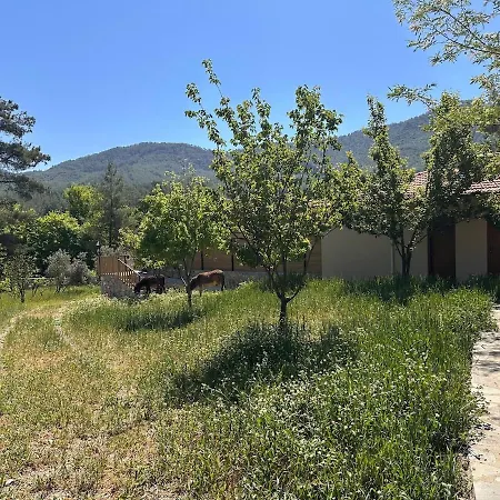 Appartement Escape To Nature Private Pool In Lyciafarm